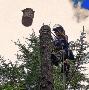 Meet your Posher, Sam